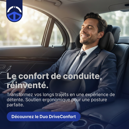 Coussin lombaire voiture